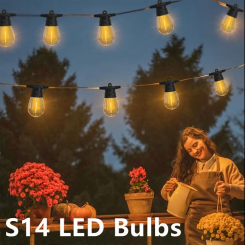 S14 LED  String Light